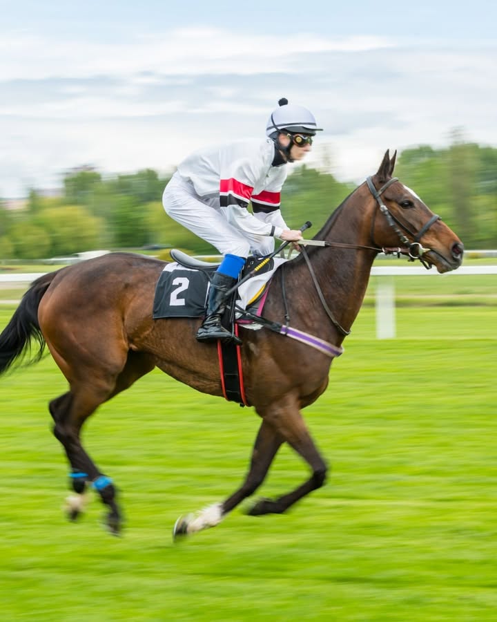 Featured image for “Calcutta Night at Tura Beach Country Club: Support Local and Have Fun!”