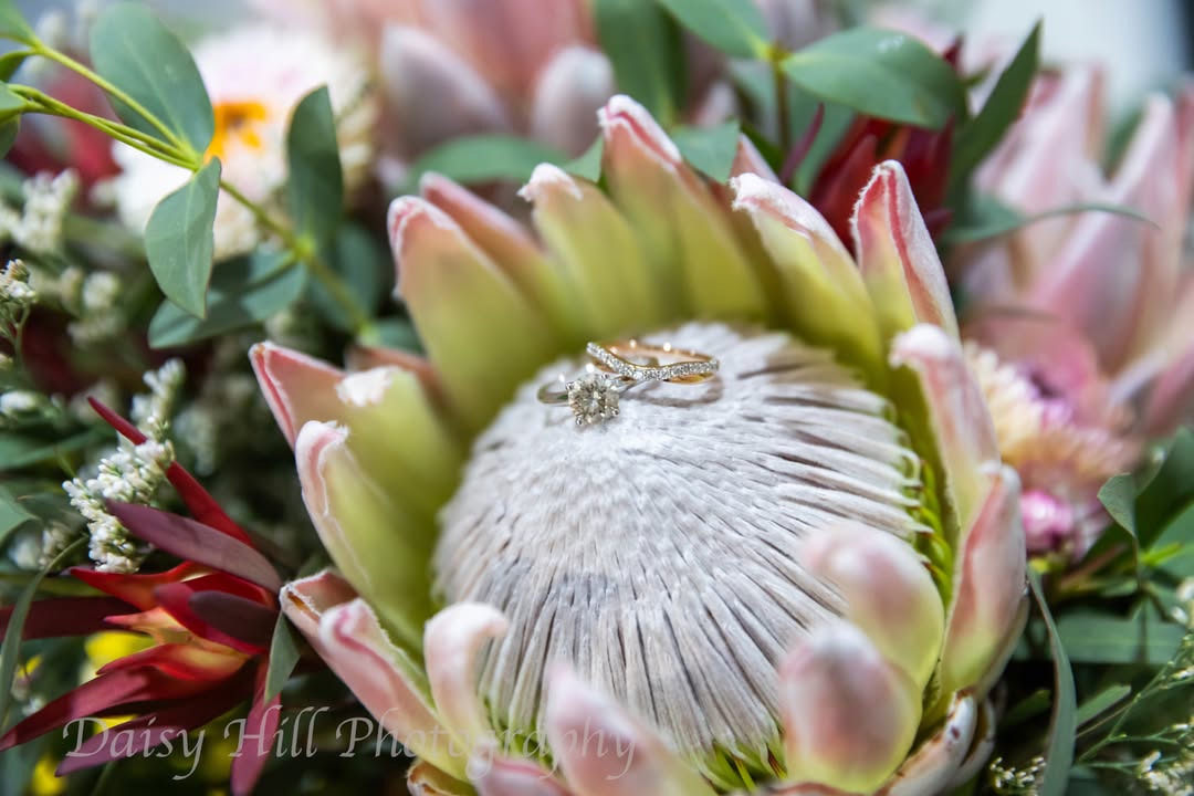 Featured image for “Wedding Celebrations at Tura Beach Country Club”